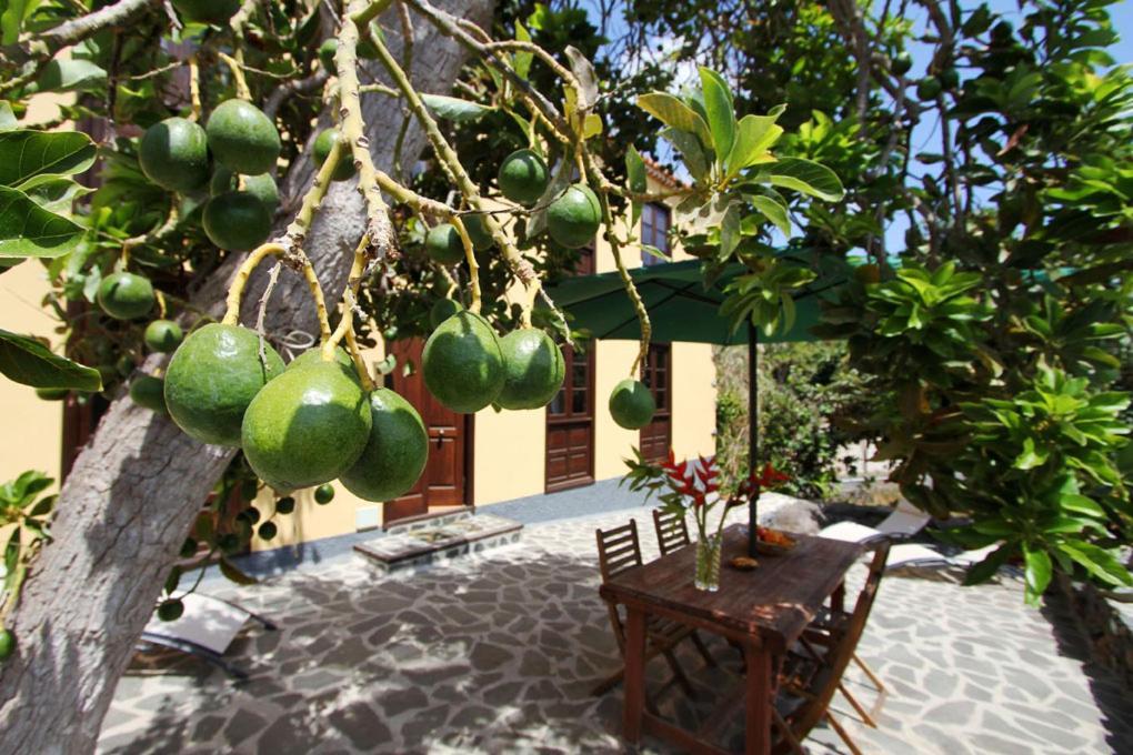 Casa Rural Los Aromos - Wunderschones Landhaus Mit Meerblick Эрмигва Экстерьер фото